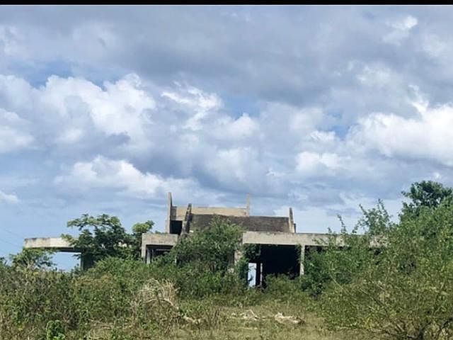 2nd image of Mora Callejon Florida