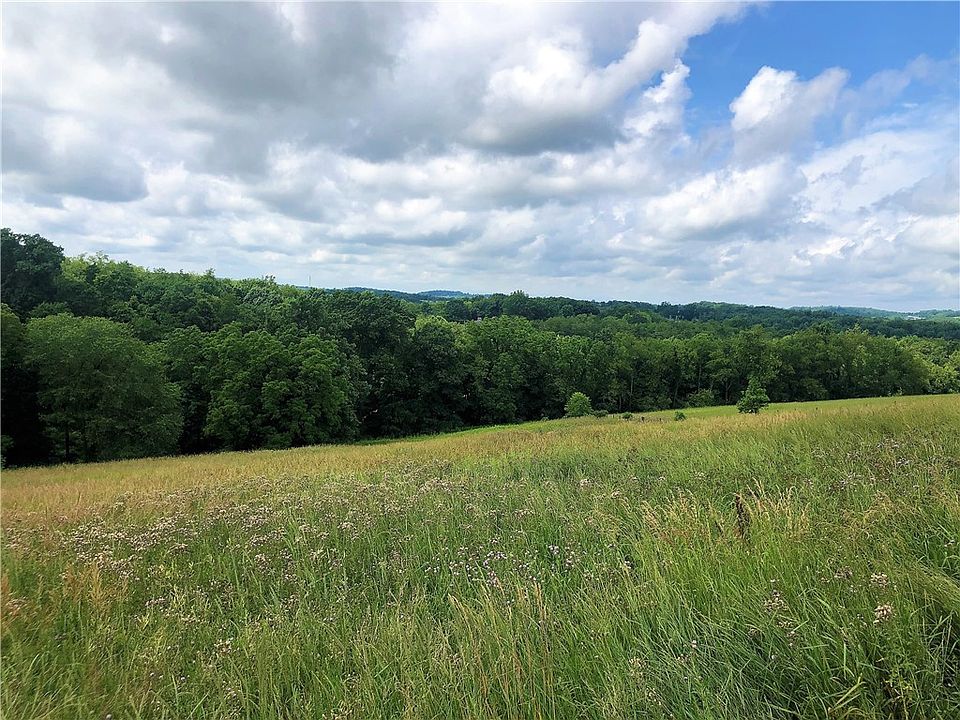 2nd image of 419 Malone Ridge Rd