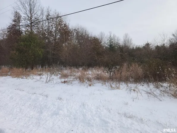 LOT 5 E Hutchison Rd, Mount Vernon, IL 62864
