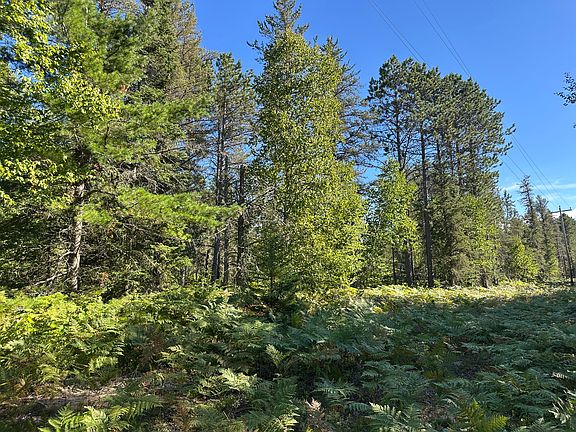 4th image of 15796 N Whitefish Point Rd