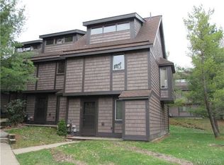 8 Centerline Rd, Ellicottville, NY 14731