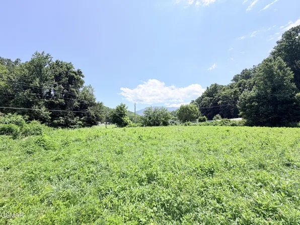 187 S Highway 32 Lot 4, Cosby, TN 37722
