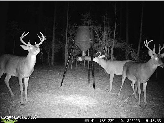 3rd image of Pleasant Grove Rd SE