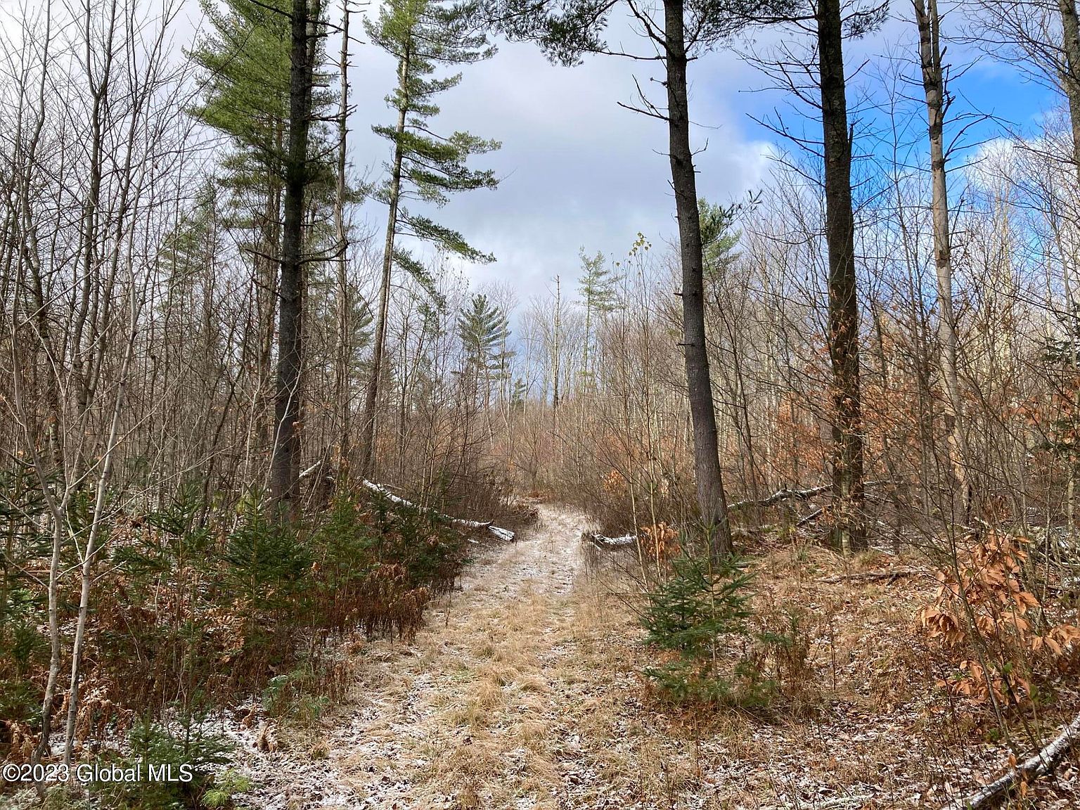 L225.217 Trim Road, Saint Regis Falls, NY 12980 MLS 202328682 Zillow