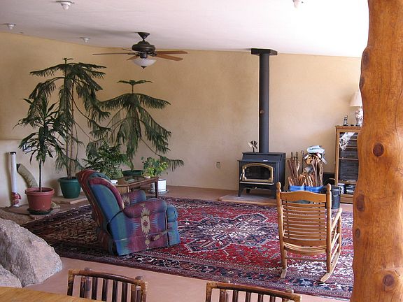 Living room with woodstove and propane heater.