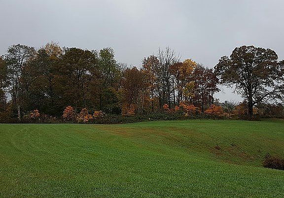 from house looking south
