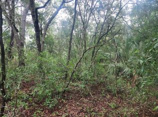 Sands Point Ave LOT 35, Dunnellon, FL 34432