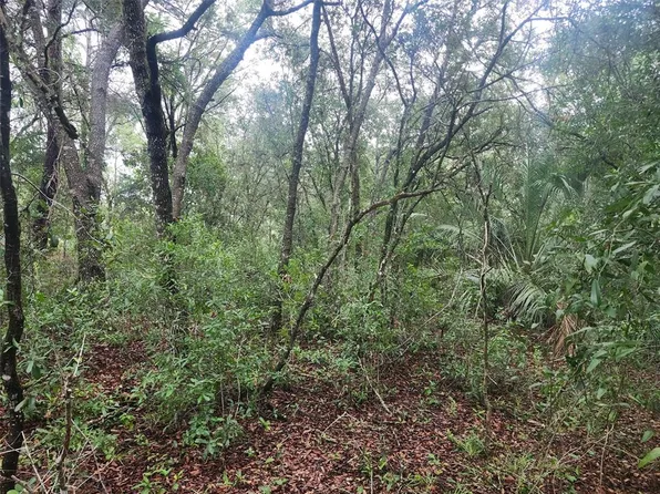 SW SANDS POINT AVENUE LOT 35, DUNNELLON, FL 34432