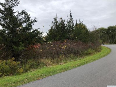 0 - Lot 49 Squire Lane, Athens, NY, 12015