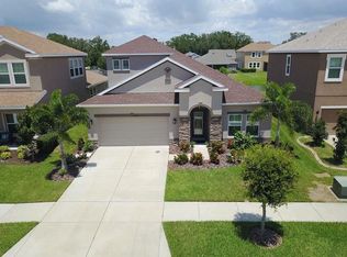 10419 Flagstaff Falls Ave, Riverview, FL 33578