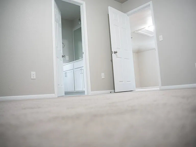 532 Arrowhead Vine St — Photo 21