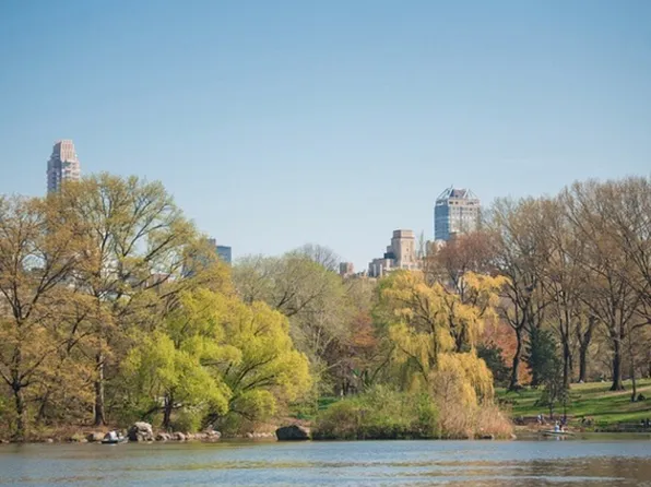 17 East 67th Street image 11 of 13