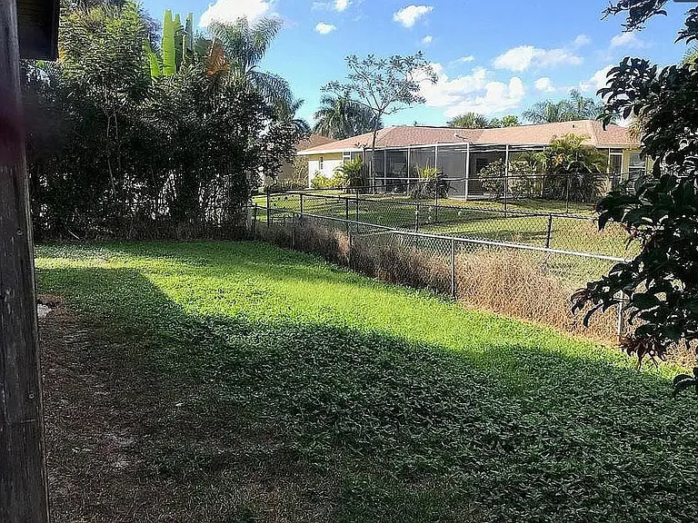 Backyard