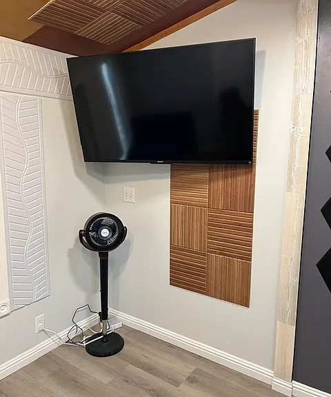 Portable Floor fan and TV with chromecast to stream.