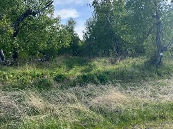 L8-B7 N Cedar Hills Dr, Palmer, AK 99645