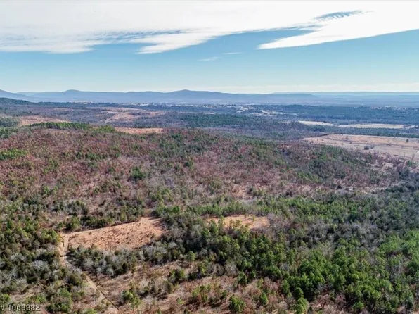 TRACT 10 Ogden Mills Trl, Wister, OK 74966