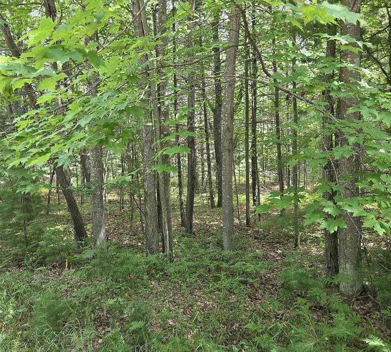 1st image of Lakewood Dr