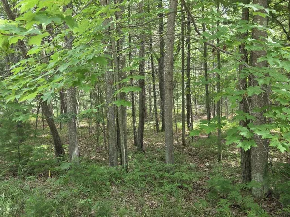 Lakewood Dr, Oscoda, MI 48750