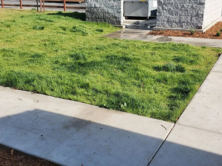 Sutter Commons Apartments — Photo 37