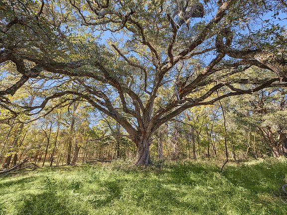 4th image of 6230 Kovar Rd