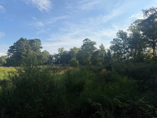 (undisclosed Address), Rosston, AR 71858