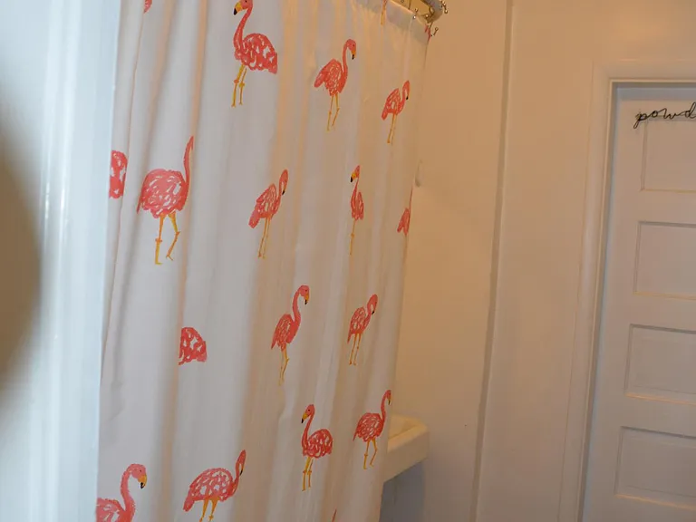 330 S Howes St #2 — Photo 10