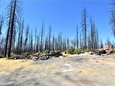 0 Bald Rock Rd, Berry Creek, CA, 95916