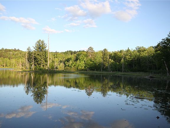 5th image of Lot  1 Timber Wolf Drive