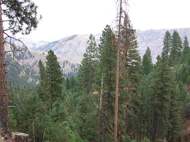 2nd image of 34 Forest Dr