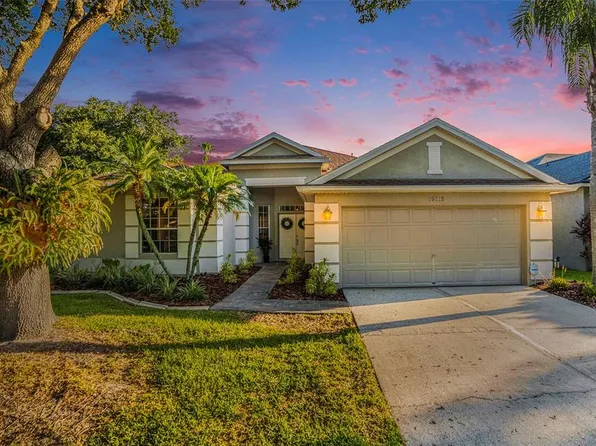 19113 Golden Cacoon Pl, Lutz, FL 33558