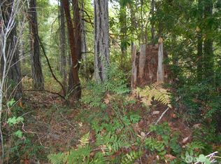 0 Belgian Dr, Brinnon, WA 98320