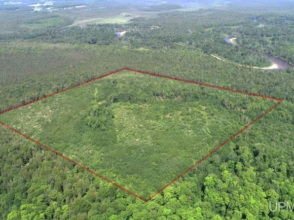 Krummich Rd, Manistique, MI 49854