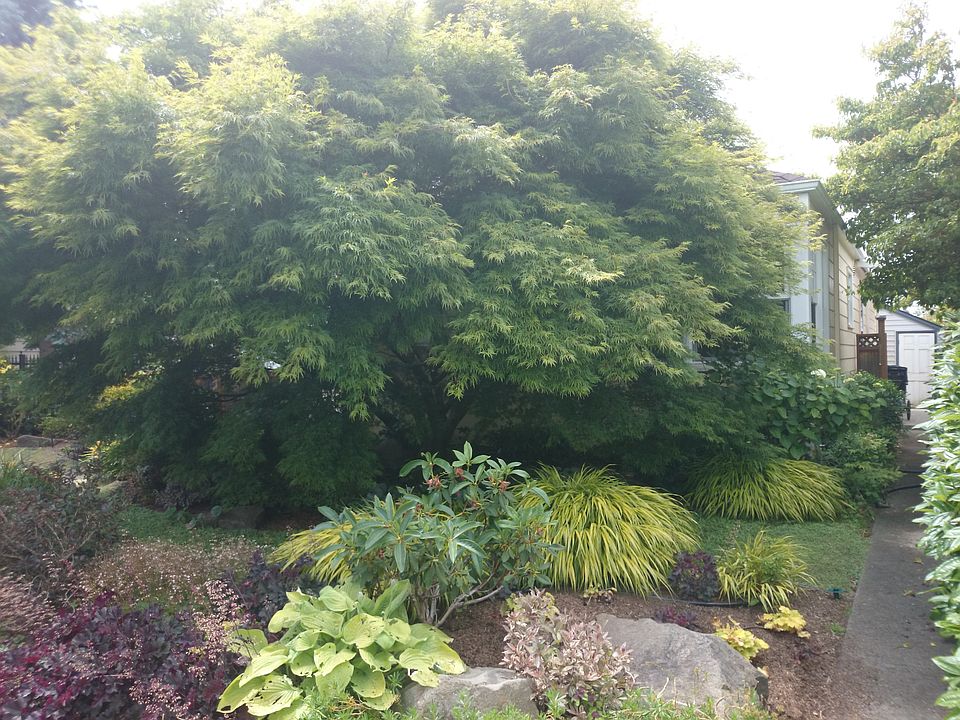 2nd image of 8311 23rd Ave NW
