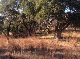 507 Alamo Rd, Fredericksburg, TX 78624