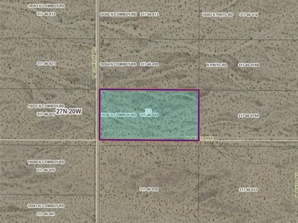 19336 N Cowboy Rd, White Hills, AZ 86445