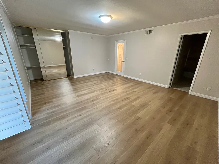 master bedroom with 1st closet