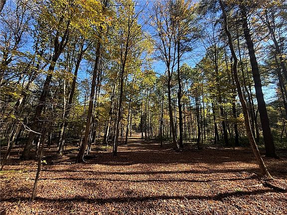 5th image of 0 W Lake Rd #61