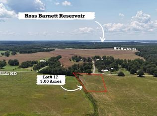 1 N Sandhill Rd Lot 8, Lena, MS 39094