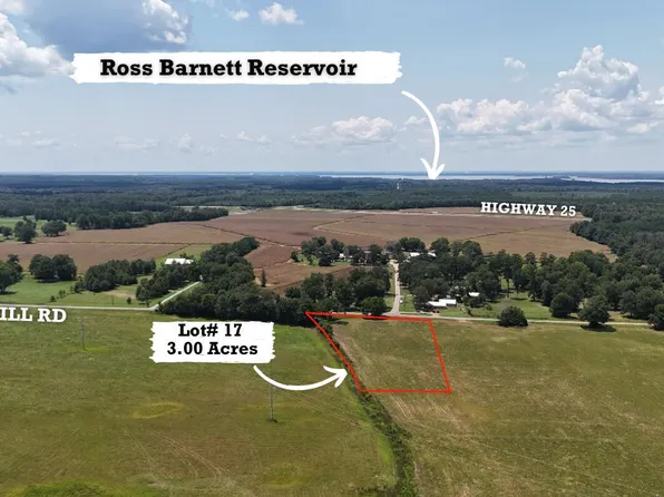 1 N Sandhill Rd Lot 8, Lena, MS 39094