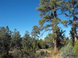 4112 Lone Eagle Ct, Happy Jack, AZ 86024