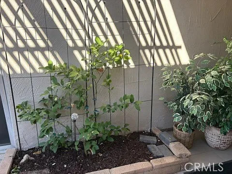 28375 Paseo Grande Dr — Photo 26
