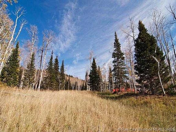 4th image of 215 White Pine Canyon Rd #215