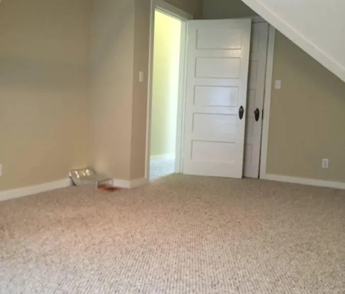 909 Ashbury St #4 — Photo 19