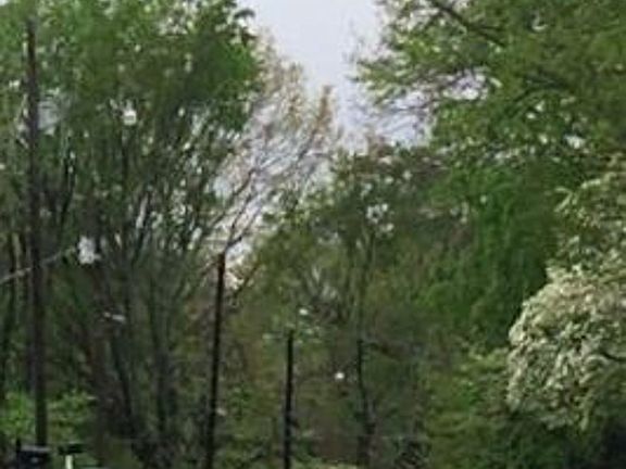 Exterior Neighborhood (street photo)