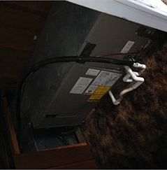 5th image of 24 Kamer Ln