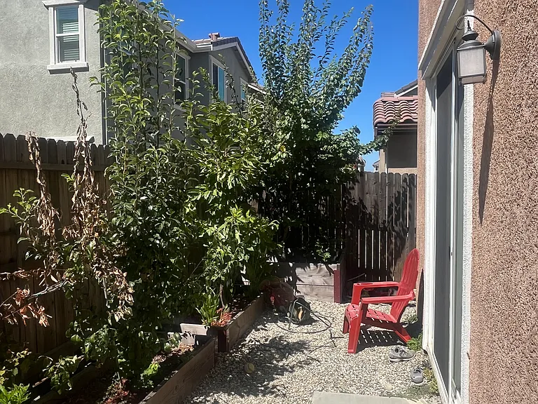3217 Auburn Leaf Loop — Photo 17