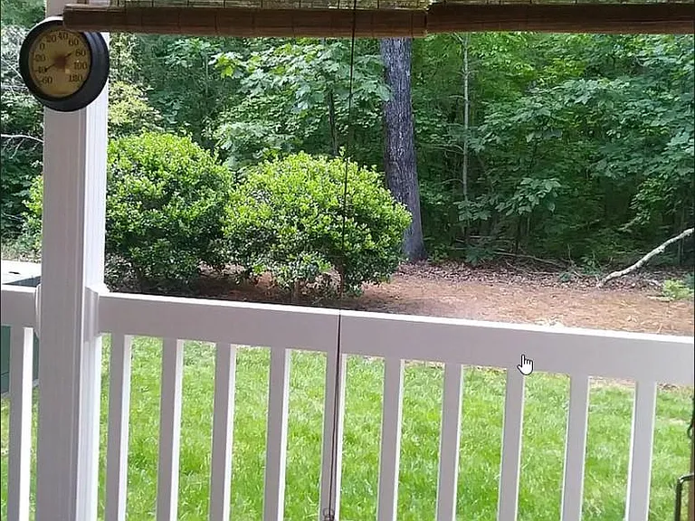 View from back patio