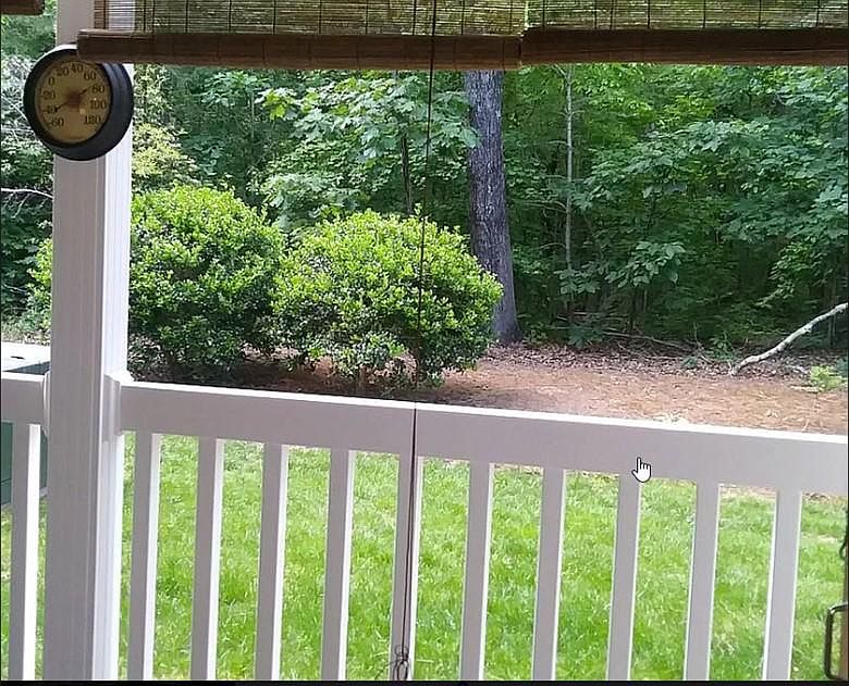 View from back patio