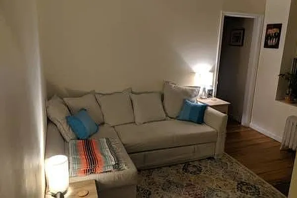 Rented by NY Living Solutions | media 17