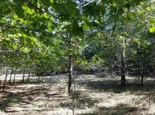 W Duck Rd, Mears, MI 49436